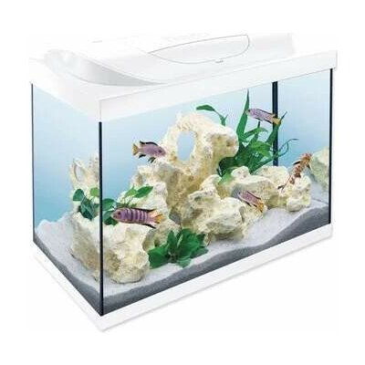 Tetra Starter Line LED set bílý 61 x 32 x 51 cm, 80 l – Zboží Dáma