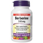 Webber Naturals Berberin 500 mg 60 kapslí – Hledejceny.cz