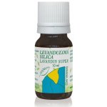 Hanus Silica levandulový olej 10 ml – Hledejceny.cz