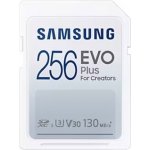 Samsung SDXC UHS-I 256 GB MB-SC256K/EU – Hledejceny.cz