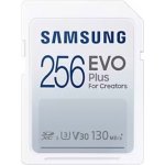 Samsung SDXC UHS-I 256 GB MB-SC256K/EU – Zbozi.Blesk.cz
