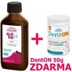Vitar Veterinae ArtiVit sirup 200 ml DentOn 50 g – Hledejceny.cz
