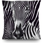 Dekorační polštář Zebra CN3605 | 45 x 45 cm – Hledejceny.cz