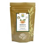 Salvia Paradise Boswellia serrata kadidlovník prášek 100 g – Hledejceny.cz