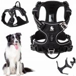 Truelove Postroj pro psa Front Line Premium – Sleviste.cz