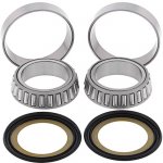 ALL BALLS ložiska řízení s těsnícími prvky KAWASAKI VN1500/1600/2000 ZX7R/ZX9R, SUZUKI VZ1600 nahrazuje 22-1039 – Zboží Mobilmania