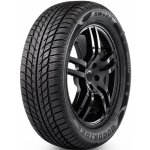 Goodride SW608 205/50 R17 93H – Hledejceny.cz