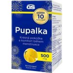 GS Pupalka 500 mg 90+10 kapslí – Hledejceny.cz