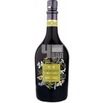 Bottega Vermouth Bianco 16% 0,75 l (holá láhev) – Zboží Dáma