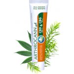 Annabis Arthrocann hřejivý gel z konopí s koloidním stříbrem 75 ml – Zboží Dáma Annabis Arthrocann hřejivý gel z konopí s koloidním stříbrem 75 ml – Zboží Dáma