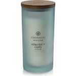 Chesapeake Bay Candle Chesapeake Bay Reflection + Clarity 354 g – Zboží Mobilmania