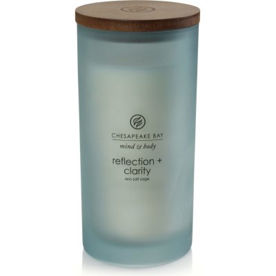 Chesapeake Bay Candle Chesapeake Bay Reflection + Clarity 354 g – Zboží Mobilmania