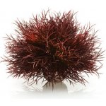BiOrb Sea lilies karmínová 11 cm – Hledejceny.cz