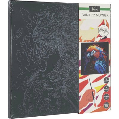 Grafix Malování podle čísel papoušek 30 x 30 cm na černé plátno – Sleviste.cz