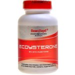 VemoHerb Beta Ecdysterone 95% 90 kapslí – Hledejceny.cz
