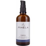 Anela Odlíčím dvoufázový odličovač očního i pleťového make-upu 30 ml – Hledejceny.cz