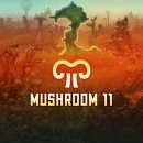 Mushroom 11