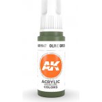 AK Interactive Olive Green 17 ml – Zboží Dáma
