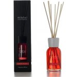 Millefiori Milano Mela & Cannella 250 ml – Hledejceny.cz