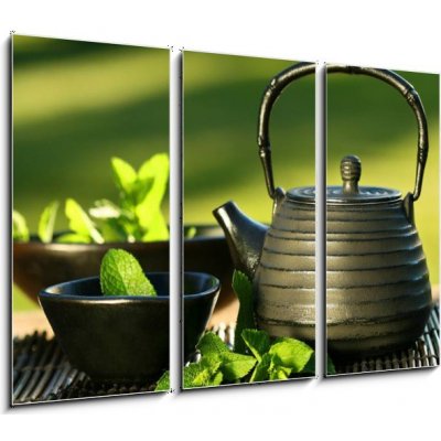 Obraz 3D třídílný - 105 x 70 cm - Black iron asian teapot with sprigs of mint for tea Černá železná asijská čajová konvice s větvičkami na čaj – Zboží Mobilmania