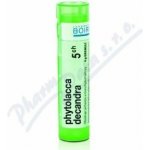 PHYTOLACCA DECANDRA POR 5CH GRA 4G – Hledejceny.cz
