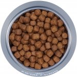 Royal Canin Maine Coon Kitten 2 x 10 kg – Hledejceny.cz