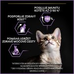 Pro Plan Kitten Healthy Start s kuřetem 3 kg – Zboží Dáma