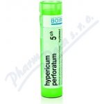 HYPERICUM PERFORATUM POR 5CH GRA 1X4G – Hledejceny.cz