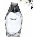 Avon Perceive toaletní voda pánská 100 ml