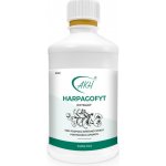 Harpagofyt extrakt 250 ml – Hledejceny.cz