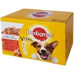 Pedigree Vital Protection mix 12 x 100 g – Hledejceny.cz