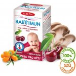 Terezia Company Baby Imun sirup s hlívou a rakytníkem příchuť višeň 100 ml – Hledejceny.cz