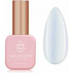 NANI gel lak Premium Frosted Moon 6 ml – Zboží Dáma