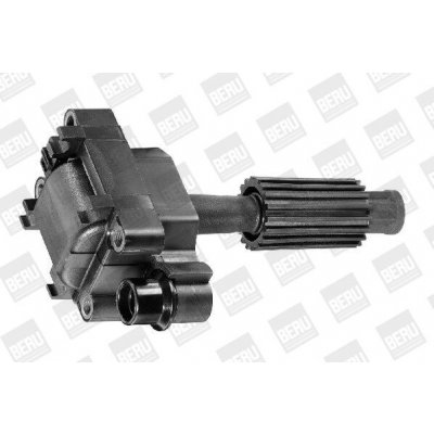 BorgWarner (BERU) Zapalovací cívka Beru 0040100308 (BER ZS308) – Hledejceny.cz