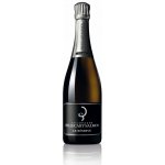 Billecart Salmon Brut Reserve 12% 0,75 l (holá láhev) – Zboží Dáma