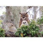 Cobble Hill Výr virginský 1000 dílků – Hledejceny.cz