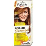 Pallete Color Shampoo Oříškově plavá 317 – Zbozi.Blesk.cz