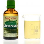 Bylinné kapky Zázvor kořen tinktura 50 ml – Hledejceny.cz