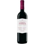 Cuatro Rayas Cuarenta 40 Vendimias Tinto de Ribera suché červené 2020 14% 0,75 l (holá láhev) – Hledejceny.cz