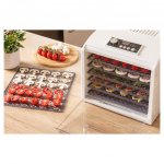 Sencor SFD 6500 – Zboží Dáma