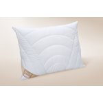 Ložnice21. Organický polštář ClimaActive Bio Gots zip 1200 g 70x90 – Zboží Dáma