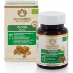 Maharishi Ayurveda Guggul 60 tablet – Hledejceny.cz
