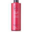 Lendan Color Addict šampon pro barvené vlasy 1000 ml