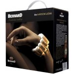 Bernard 12 pack svát. 5% 8 x 0,5 l (karton) – Sleviste.cz
