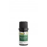 Nobilis Tilia éterický olej Helichrysum (slaměnka) 5 ml – Hledejceny.cz