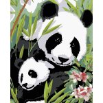 Zuty Malování podle čísel PANDA S MLÁDĚTEM – Zboží Mobilmania