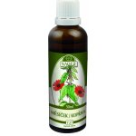 Naděje Měsíček kopřiva výluh z bylin 50 ml – Hledejceny.cz