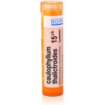 CAULOPHYLLUM THALICTROIDES POR 15CH GRA 1X4G – Hledejceny.cz