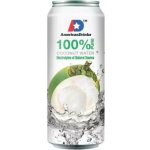 AMERICAN DRINKS Kokosová voda 100% plech 0,5 l – Hledejceny.cz