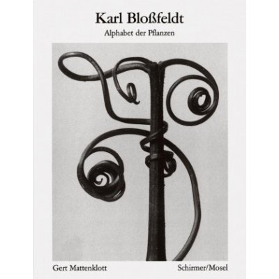 Karl Blossfeldt: Alphabet of Plants